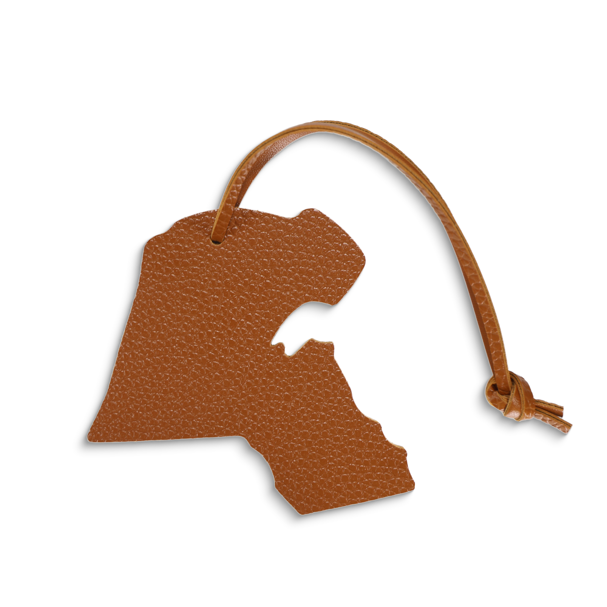 تعليقات وطنية - Sumer