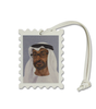 تعليقات وطنية